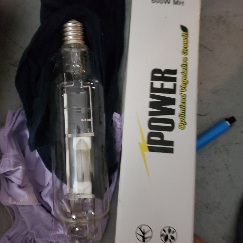 Ipower indoor grow bulb
